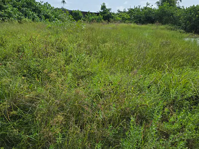 500SQM of Residential Bareland — Off Monastery, Sangotedo, Ajah, Lagos
