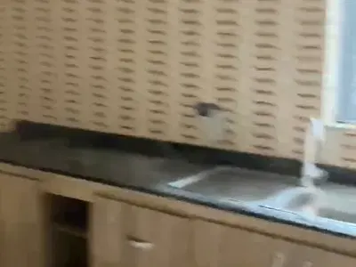 Well Maintained 2 Bedroom Flat — Ogunfayo, Awoyaya, Ibeju Lekki, Lagos