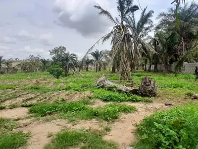 Institutional Land 2.3 Hectares Fcda C of O — Behind Naptip, Idu Industrial, Abuja