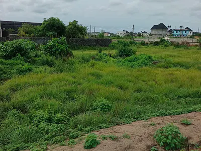 Corner-Piece Dry Land Measuring 663SQM — Royal Gardens Estate, Ajah, Lagos