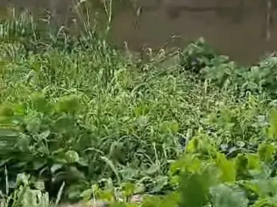 500SQM Land with Approved Building Plan for Detached House — Ikoyi, Lagos