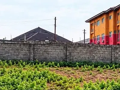 Land Measuring 560SQM — Funsho Williams Avenue, Iponri, Surulere, Lagos