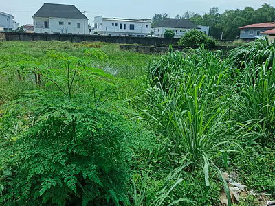900SQM of Bareland — Fountain Spring Ville Estate, Off Monastery Road, Sangotedo, Ajah, Lagos