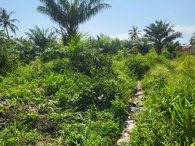 Commercial Land — Ibeju Lekki, Lagos