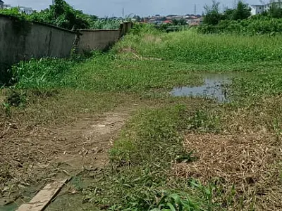 Fenced and Gated Land Plots — Gateway Estate, Magodo, Lagos