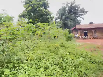 900 SQM of Land 100by100 Size — Ekpoma, Esan West, Edo