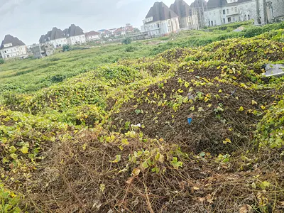 Flat Land Nicely Located — Apo, Abuja