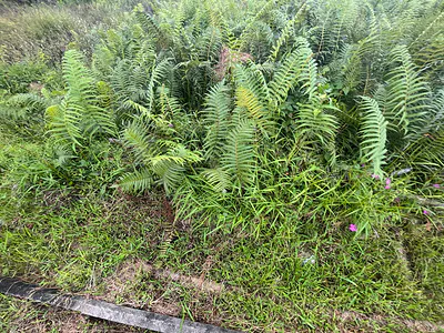 Dry Land in a Beautiful Gated Estate — Ajah, Lagos