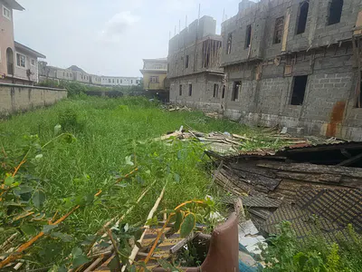 Well Located and Strategically Positioned Land Measuring 550SQM — Medina, Gbagada, Lagos
