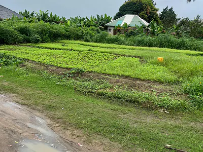 2.5 Plots of Buy and Build Land — Akwuakwu Omuoko, Aluu, Port Harcourt, Rivers