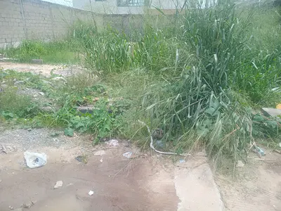 A Very Good Land Measuring 500SQM Within a Serene Estate — Ikoyi, Lagos