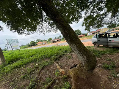 Affordable Land Offer Strategically Located Along the Expressway — Ibadan, Oyo