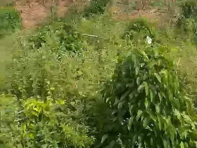1500 SQM of Land — Guzape 2, Guzape District, Abuja