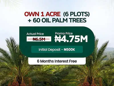 Farm Land with Oil Palm Trees — Ibeshe, Abeokuta South, Ogun