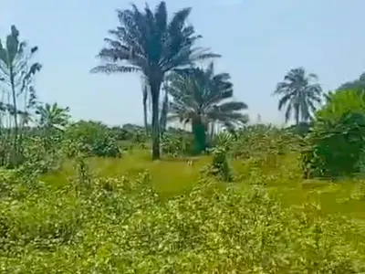 10 Acres of Land. — Lekki-Epe Expressway, Shapati, Ibeju Lekki, Lagos