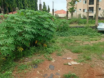 Prime Residential Land with C of O — Life Camp, Abuja