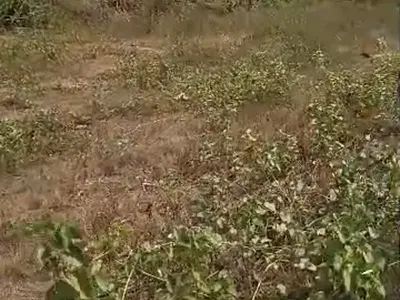 20 Acres of Land — Lagos/Ibadan Express Road, Oluyole, Oyo