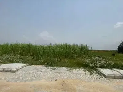 Corner-Piece 1000SQM Residential Land Plot (Direct Brief) — Orange Island Phase 1 Estate, Lekki, Lagos