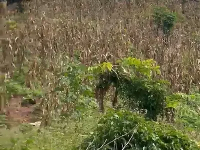 322 SQM of Land — Alagbado, Ifako-Ijaiye, Lagos