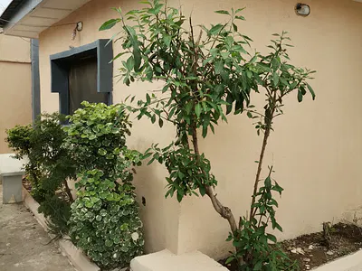 Decent 1-Bedroom Apartment in a Serene Neighbourhood — Ologede Estate, New Garage, Ibadan, Oyo