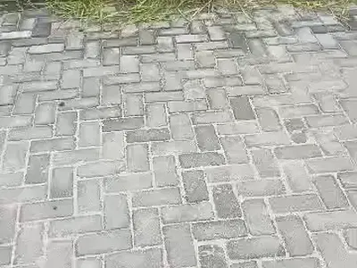 Residential Land on Interlocked Road — Prayer Estate, Amuwo Odofin, Lagos