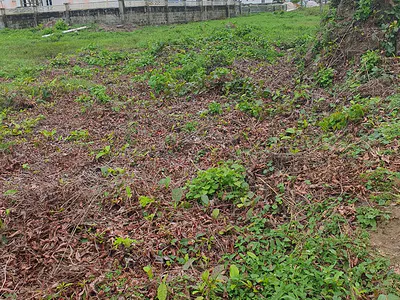 A Dry and Prime Residential Land — Adiva Plainfield Estate, Ibeju Lekki, Lagos