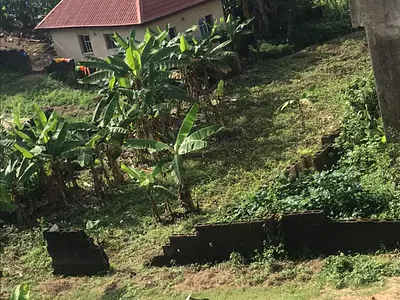 More Than a Full Plot of Land — Short Drive From Arepo, Beside Christ Embassy, Asese, Ibafo, Ogun