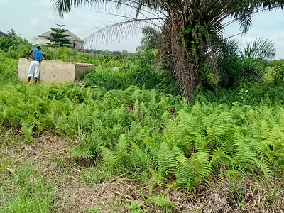 Full Plots of Land in a New Estate — Short Drive From Magodo, Voera Estate, Arepo, Berger, Arepo, Ogun