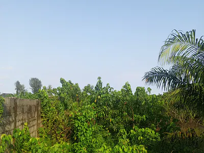 1000 SQM Land Fenced — Ajayi Apata Estate Beside Fara Park, Sangotedo, Ajah, Lagos