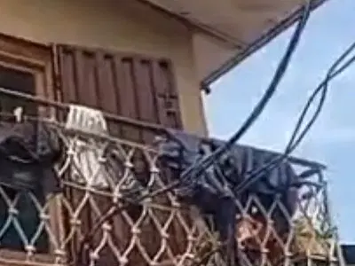 Storey Building — Shomolu, Lagos