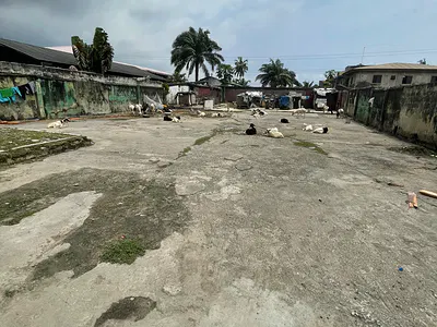 1400 Sq of Land Facing the Road.with Governors Consent — Ajah, Lagos
