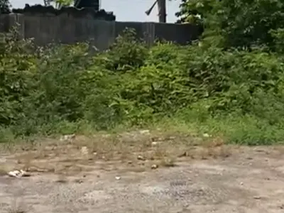 3615SQM Land Suitable for Any Type of Residential/Commercial Purposes — Off Edmond Crescent, Yaba, Lagos