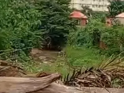 Two Hectares of Land — Garki, Abuja
