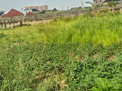 1000 SM Plot of Land — Phase 5, Army Estate, Kurudu, Abuja