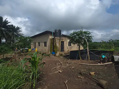 Developed Commercial Farm — Borode Village, Near Odetola, Off Ido–omi Adio Road, Ido Lga, Ido, Oyo