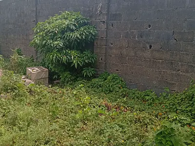 Industrial Land - 4 Acres with C of O — Off Vio Office, Agbowa, Ikorodu, Lagos