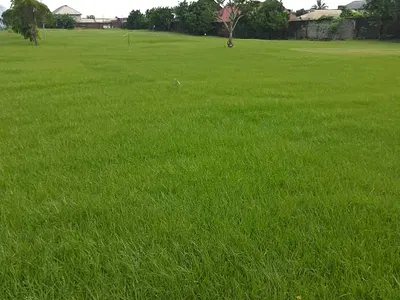 100FT X 200FT & 50FT X 100FT Residential Land — Dexdee Resort Ekae, Benin, Oredo, Edo