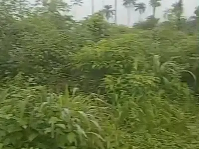 7,014 Acres of Farm Land — Abeokuta to Imeko Road, Imeko Afon, Ogun