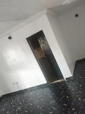 Newly Renovated 2 Bedroom Flat with Modern Facilities in a Good Area — Alapere Bus Stop, Alapere, Ketu, Lagos