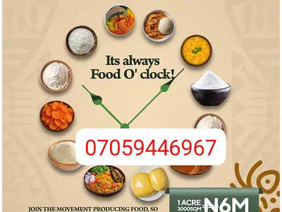 1 Acre Farm Land for Food Farmig — Aniocha South, Delta