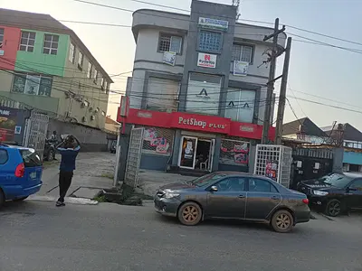 2 Storey Commercial Building — Ijaiye Road, Ogba, Ikeja, Lagos