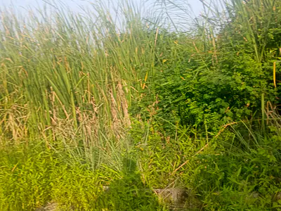Residential Land Opportunity — Ikoyi, Lagos