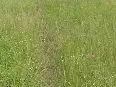 Land Facing Addo Road with C of O — Ado Road Ajah, Ado, Ajah, Lagos