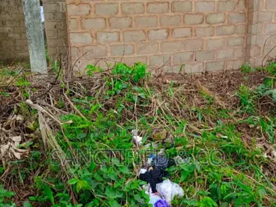 Cheap Distress Land — Lagos - Ibadan Expressway, Ibafo, Ogun