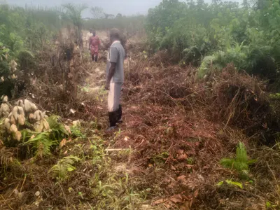 6 Plots Affordable Land — Badagry, Lagos