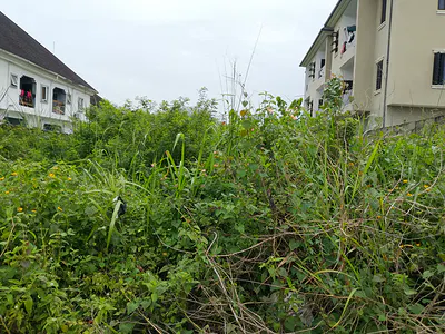 One Plot of Land — Lekki, Lagos