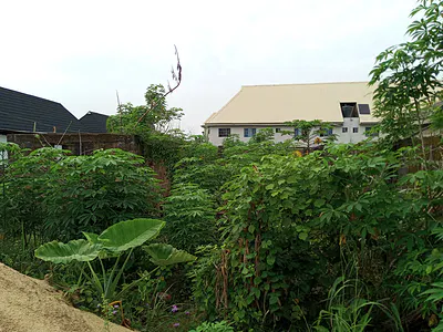 Full Plot of Land — Nasfat Area, Ipaja, Lagos