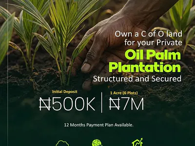 One Acre Oil-Palm Farm Land with C of O — Opeji Abeokuta, After Funaab Campus 2, Obantoko, Odeda, Ogun