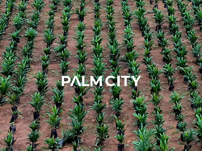 Farm Land in Plots — Ibadan, Oyo