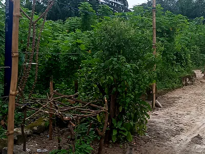 Residential Land — Agbarho Town Off Ovirir Road, Ughelli North, Delta
